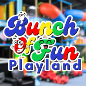 Bunch of Fun Playland