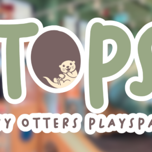 Tiny Otters Playspace